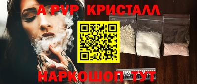 гашик Будённовск