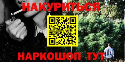 гашик Будённовск