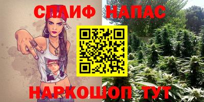 гашик Бузулук