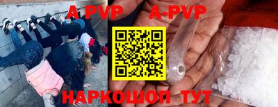 гашик Будённовск
