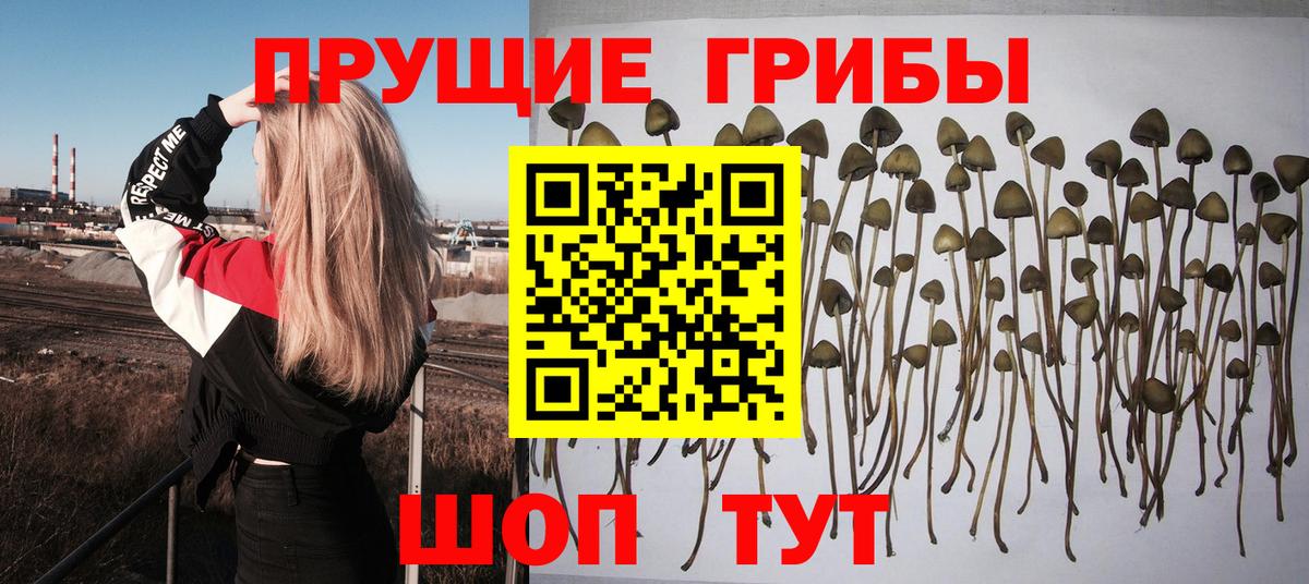 Галлюциногенные грибы мицелий Семилуки