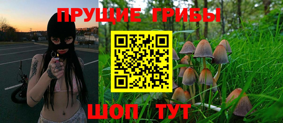 Псилоцибиновые грибы Psilocybe  Вход с VPN  Семилуки 